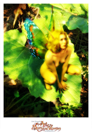 Illustration for article titled Girl Faeries